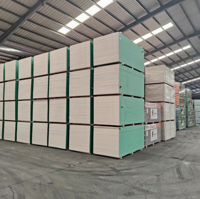 Muro a secco resistente verde su misura dell'umidità, strato impermeabile 9mm del gesso