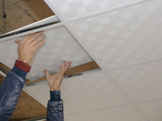 Buon prezzo Materiali per soffitti in gesso in PVC ecologici che offrono opzioni sostenibili per progetti di edilizia ecologica e di costruzione energetica in linea
